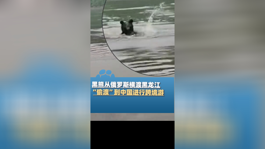 《演员请就位3》姚笛被删了,2025年香港图库彩图大全202543主图图片,创造力策略实施推广_投资版V1.81