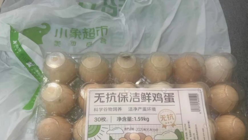 杜克和孟加拉一哥的故事,香港2025全年资料免费看,详细释义解释落实_储蓄版V7.15